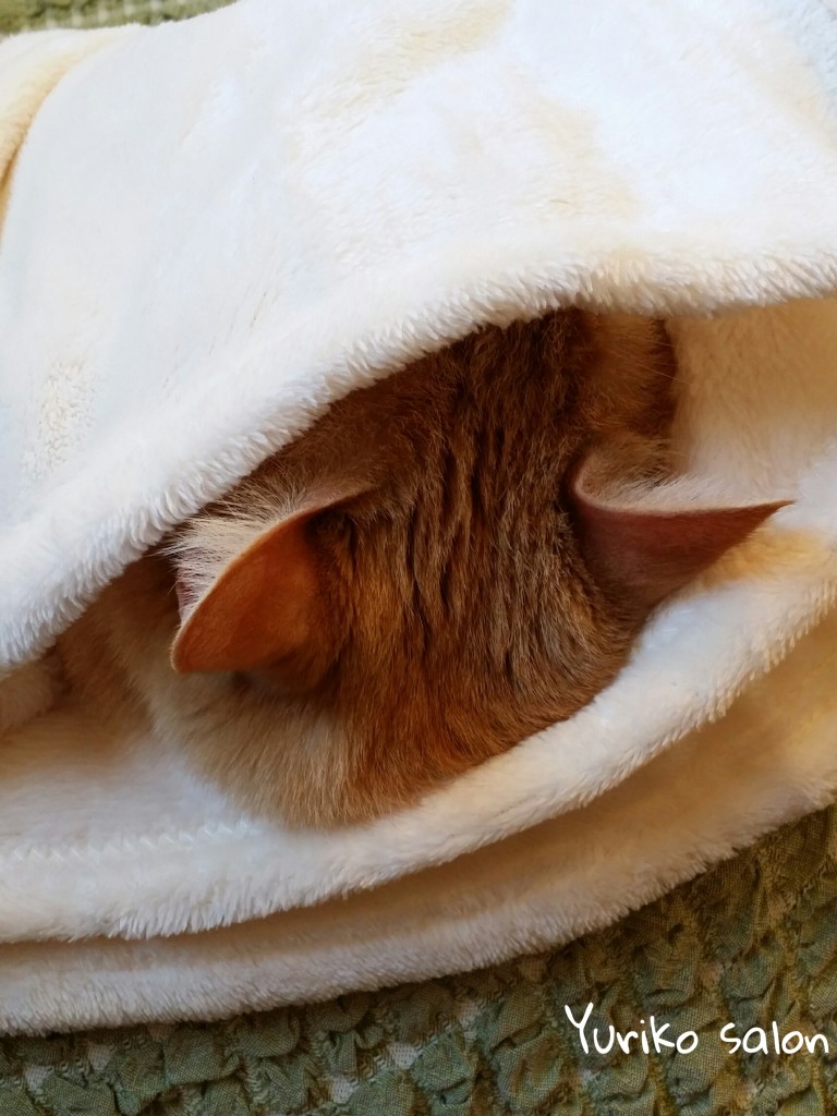 PicsArt_02-16-12.38.41