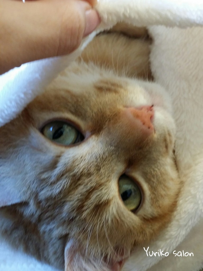 PicsArt_02-16-12.39.23