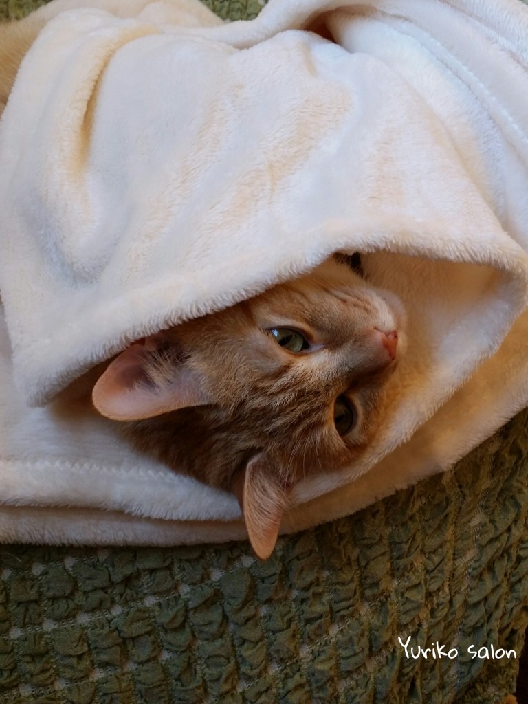 PicsArt_02-16-12.40.03