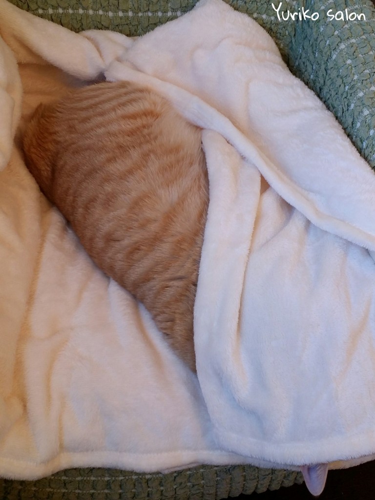 PicsArt_02-17-08.44.29