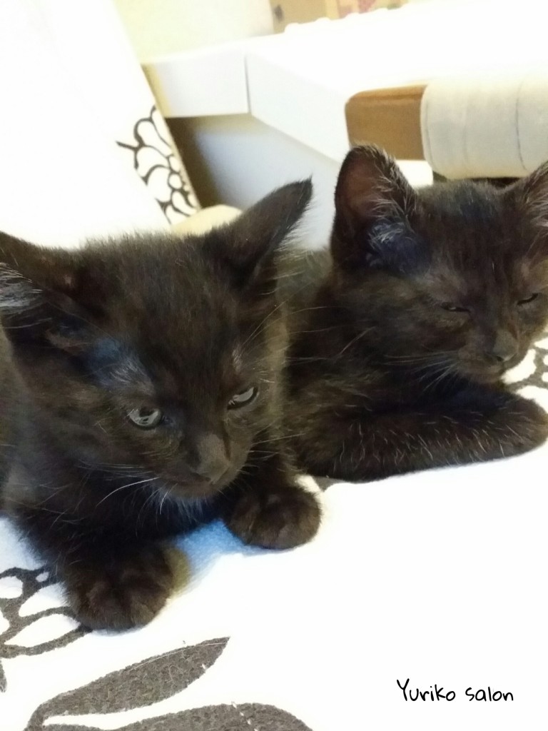 PicsArt_05-30-02.32.23