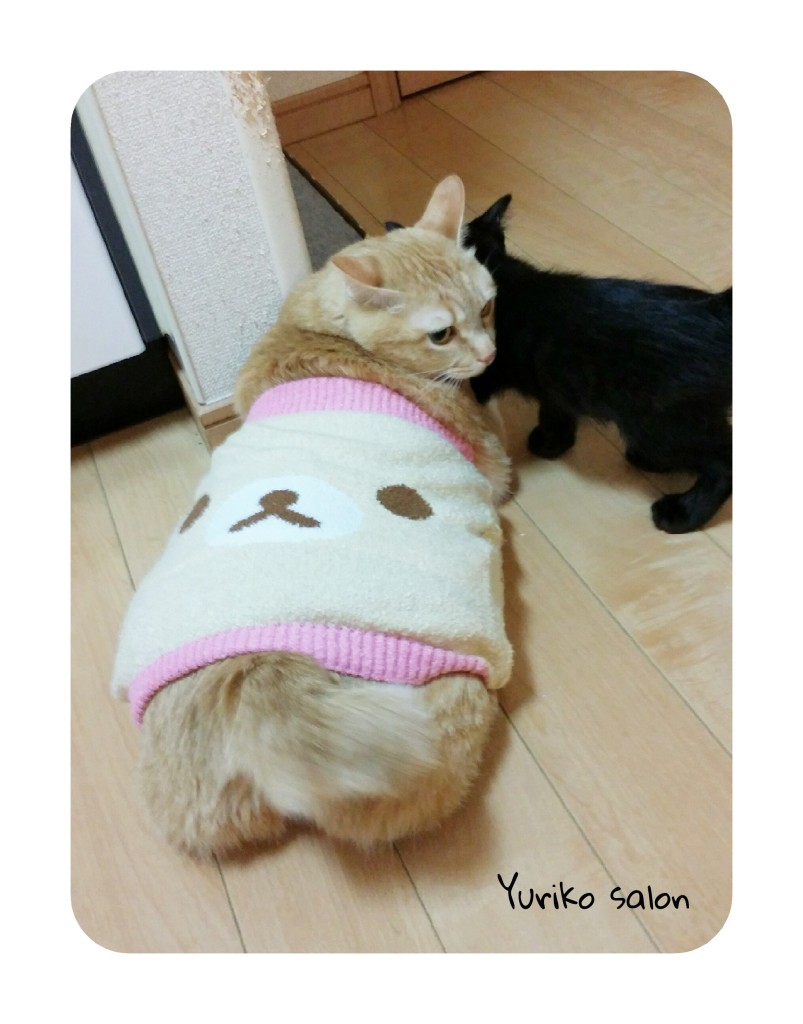 PicsArt_06-05-10.26.45